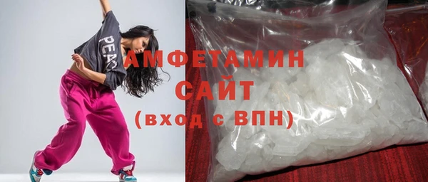 прущие грибы Надым