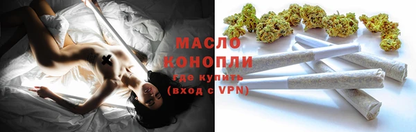 прущие грибы Надым