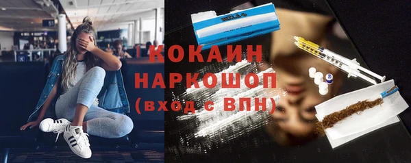 прущие грибы Надым