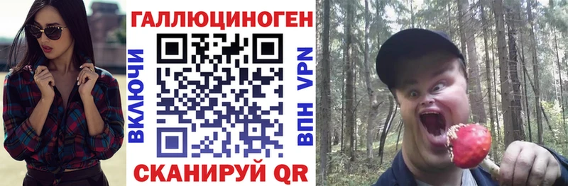 Галлюциногенные грибы Cubensis  Лысково 